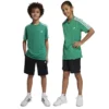 Ensemble Enfant adidas Train Essentials AEROREADY 3-Stripes – Bleu ou Vert IC5669 https://chb7.com original Algerie DZ